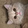 mariah6424